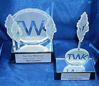 Profile cut glass trophies