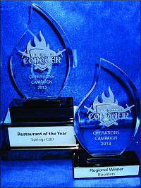 Crystal Flame shaped Awards 