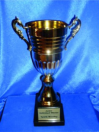 Gold Cup for Investec
