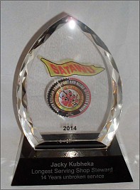 Arched Crystal Trophy SATAWU
