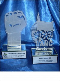 Profile cut glass ANC Awards