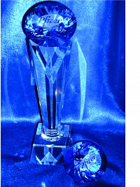 Tall Diamond awards Pfizer