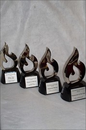 Metal Flame Shapes for Steers
