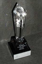 Golf Half Ball Award Nedbank