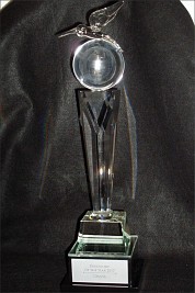 Crystal 3D world ball with a Blown Hummingbird