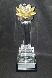 Golden Protea Award