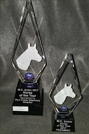 Crystal Arrow Shaped awards