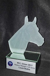 Profile cut Glass Horse Head