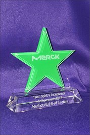 Crystal star with a green print