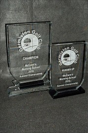Crystal shield shaped awards
